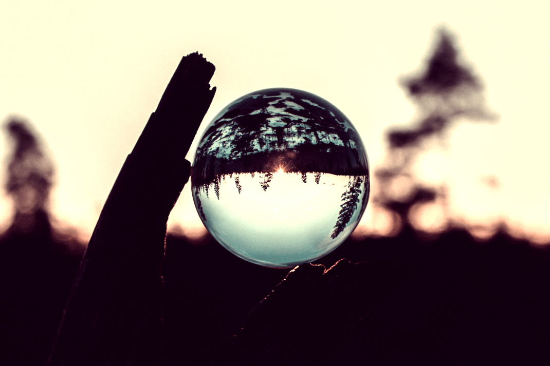 clear ball on wood trunk